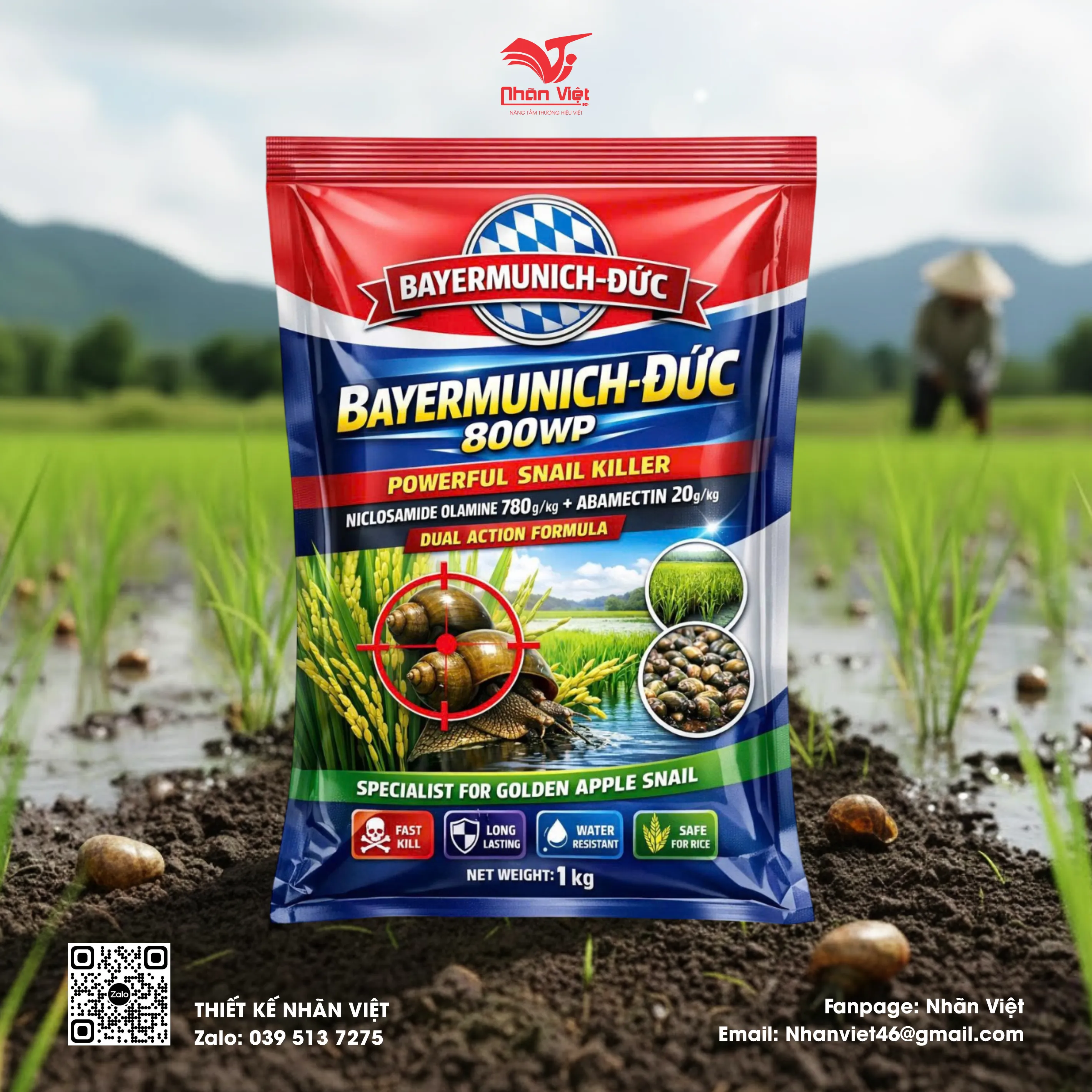 Nhãn mác & Bao bì